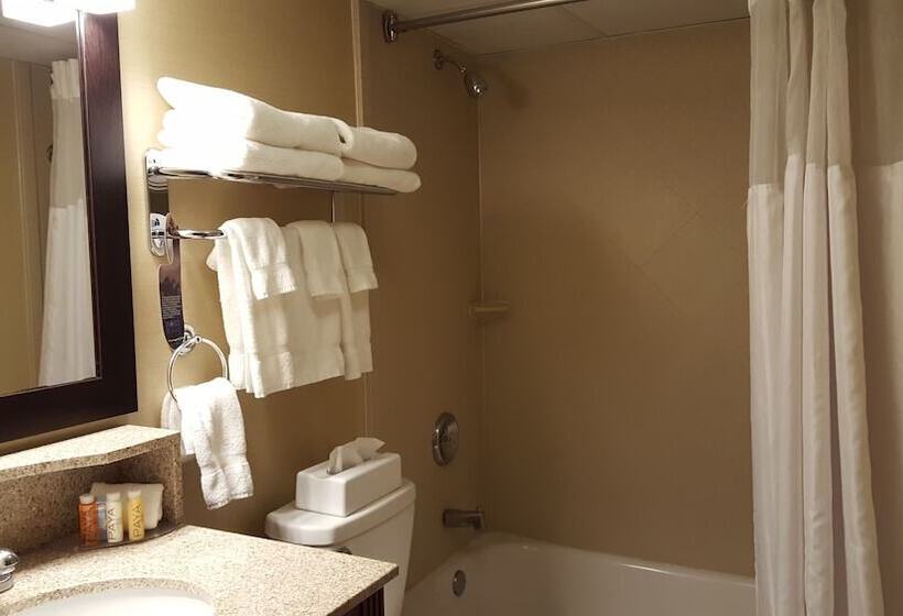 غرفه قياسيه سريرين مزدوجين, Best Western Plus The Inn At Sharon/foxboro