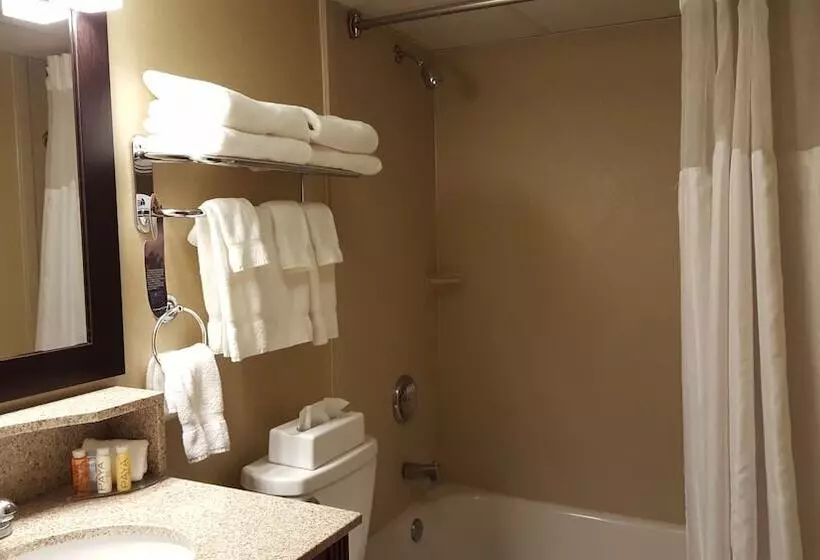 ２ダブルベッドのスタンダードルーム, Best Western Plus The Inn At Sharon/foxboro
