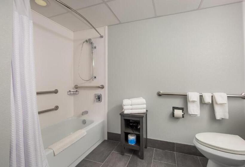 غرفة قياسية سرير كينج, Courtyard Rockaway Mount Arlington