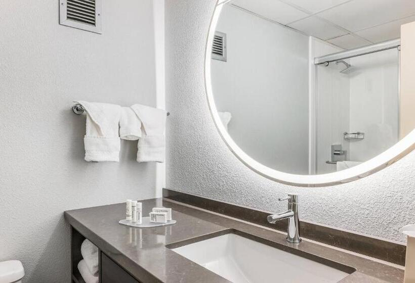 Номер Deluxe Адаптированный для Инвалидов, Courtyard Rockaway Mount Arlington