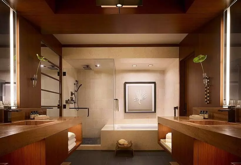 اتاق استاندارد با تخت دوبل برای معلولان, Four Seasons Resort Lana I