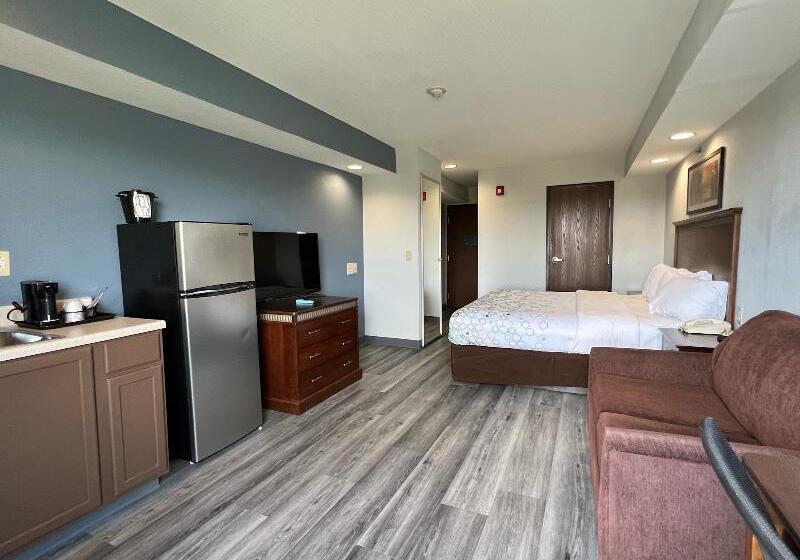 클래식 룸 킹 침대, Hanover Inn Dartmouth