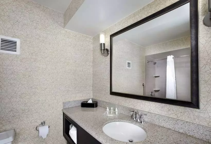 ２ダブルベッドのスタンダードルーム, Holiday Inn Johnson City, An Ihg