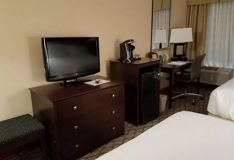 ２ダブルベッドのスタンダードルーム, Holiday Inn Johnson City, An Ihg