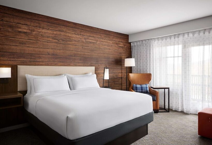 اتاق استاندارد با تخت دوبل, Killington Mountain Lodge, Tapestry Collection By Hilton