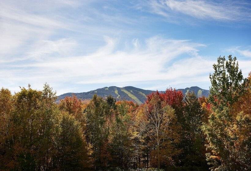 Номер Стандарт Двуспальная Кровать, Killington Mountain Lodge, Tapestry Collection By Hilton