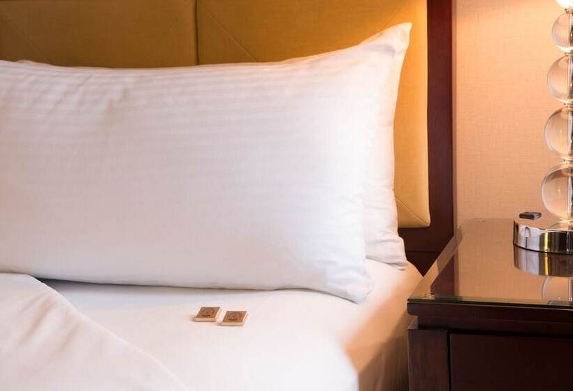 غرفة سوبيريور, Millennium Knickerbocker Chicago