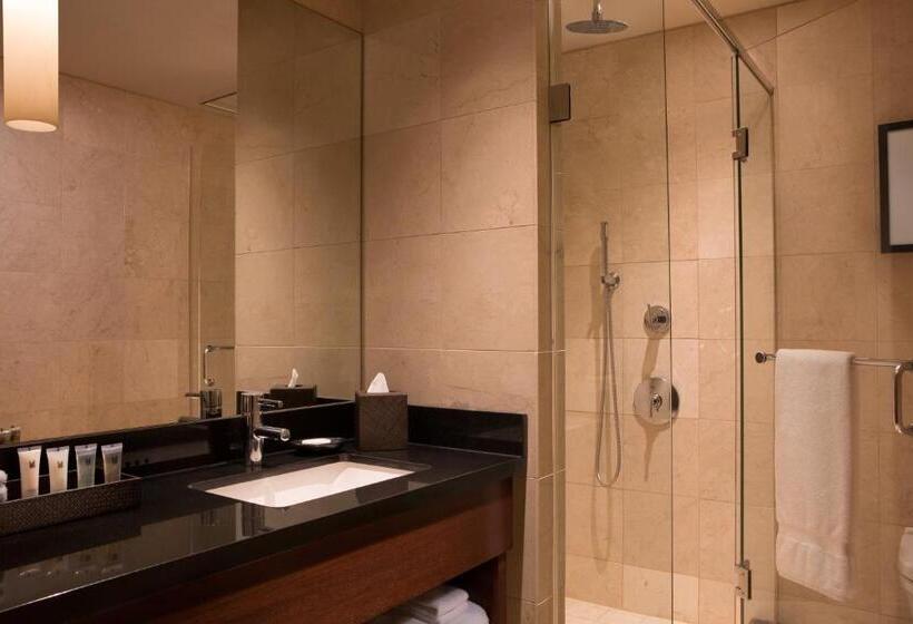 إستوديو قياسى, Millennium Knickerbocker Chicago