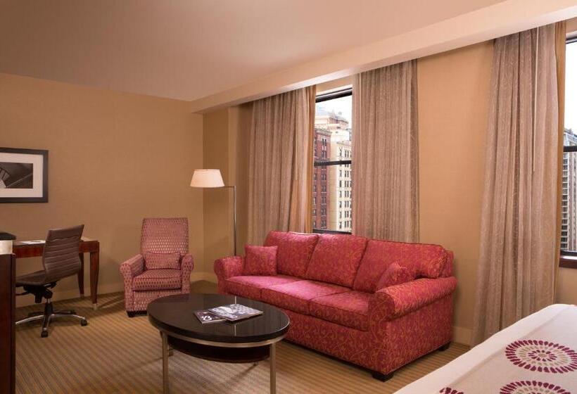 חדר סטודיו סטנדרד, Millennium Knickerbocker Chicago
