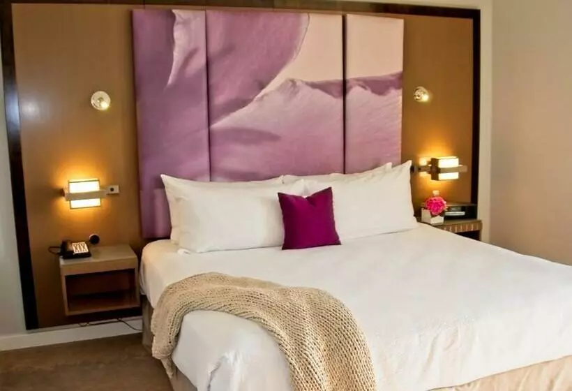 اتاق لوکس با تخت بزرگ, Pullman Miami Airport