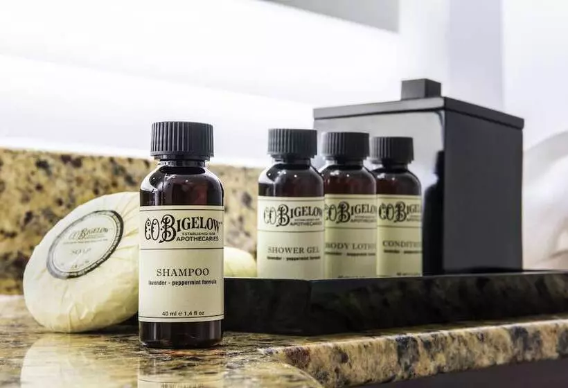 سوییت سوپریور, Pullman Miami Airport
