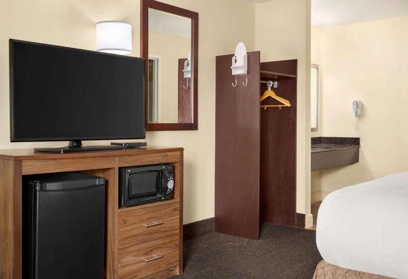 חדר סטנדרט מותאם לאדם עם מוגבלויות, Luxe Studios