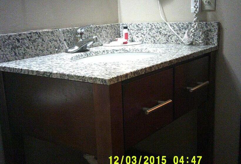 اتاق استاندارد با 2 تخت دوبل, The Suite Inn