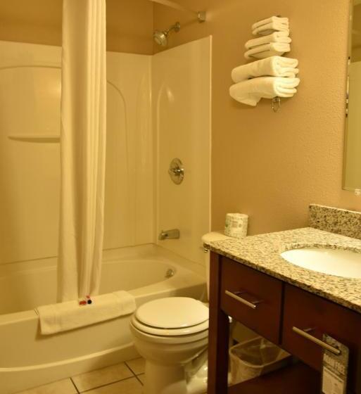 اتاق استاندارد با 2 تخت دوبل, The Suite Inn