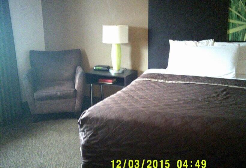 اتاق استاندارد با تخت بزرگ, The Suite Inn