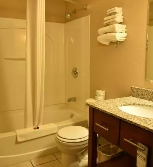 اتاق استاندارد برای معلولان, The Suite Inn