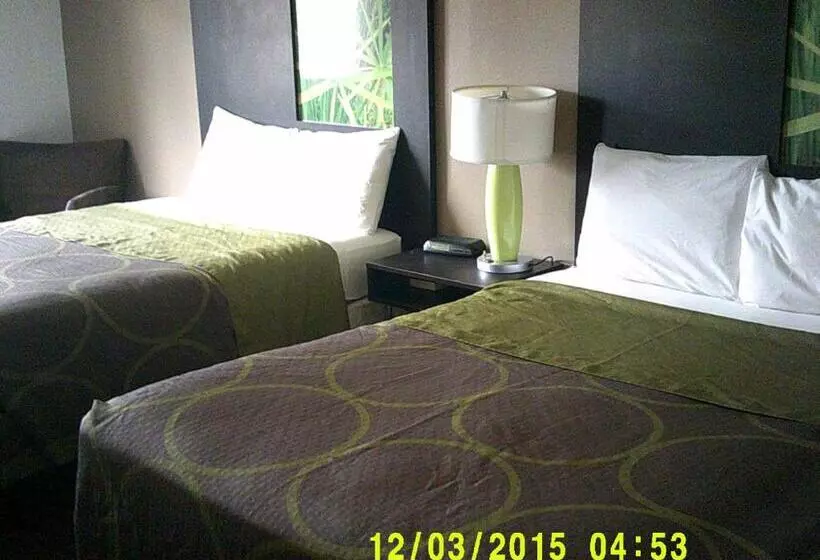 استودیوی استاندارد, The Suite Inn
