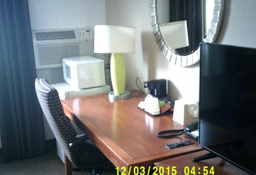 اتاق لوکس با تخت بزرگ, The Suite Inn