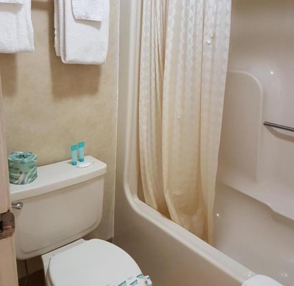 اتاق استاندارد یک نفره, Swiss Village Inn