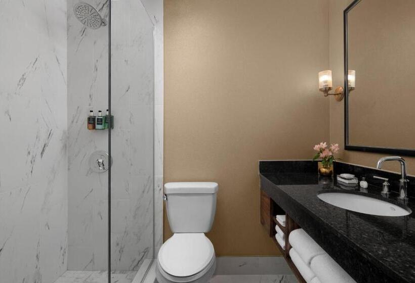 اتاق استاندارد با تخت بزرگ, The Drake Oak Brook, Autograph Collection