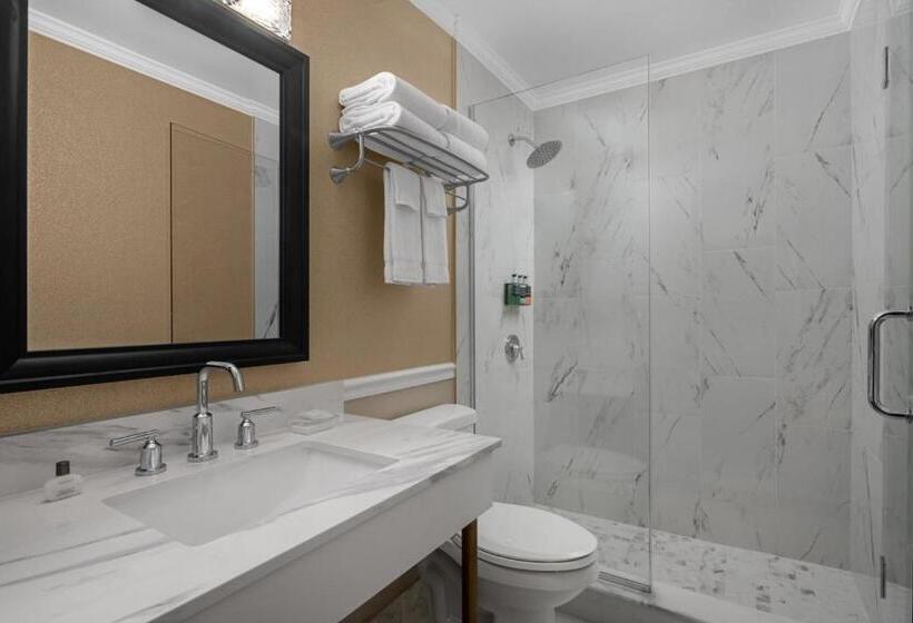 اتاق لوکس با تخت بزرگ, The Drake Oak Brook, Autograph Collection