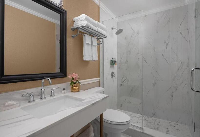 اتاق لوکس با تخت بزرگ, The Drake Oak Brook, Autograph Collection