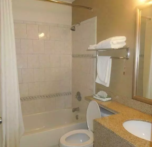 Standard-huone King-vuode, Super 8 By Wyndham Waldorf