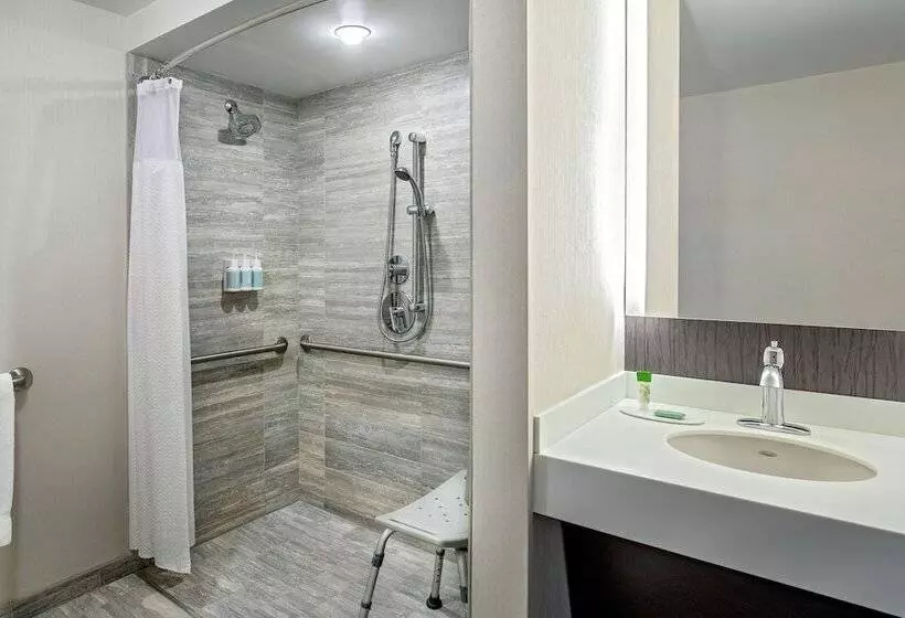 اتاق استاندارد با 2 تخت دوبل, Courtyard By Marriott Boston Downtown
