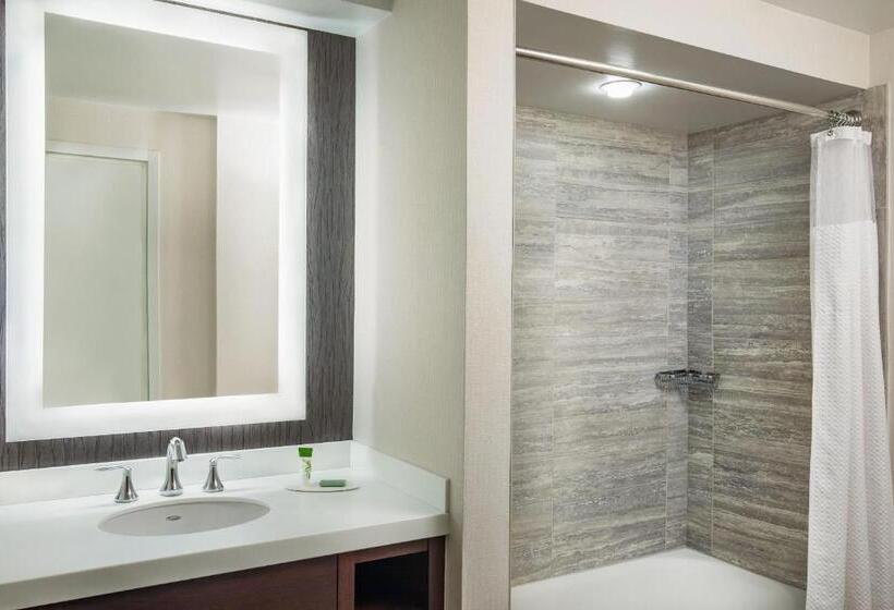 غرفه قياسيه سريرين مزدوجين, Courtyard By Marriott Boston Downtown