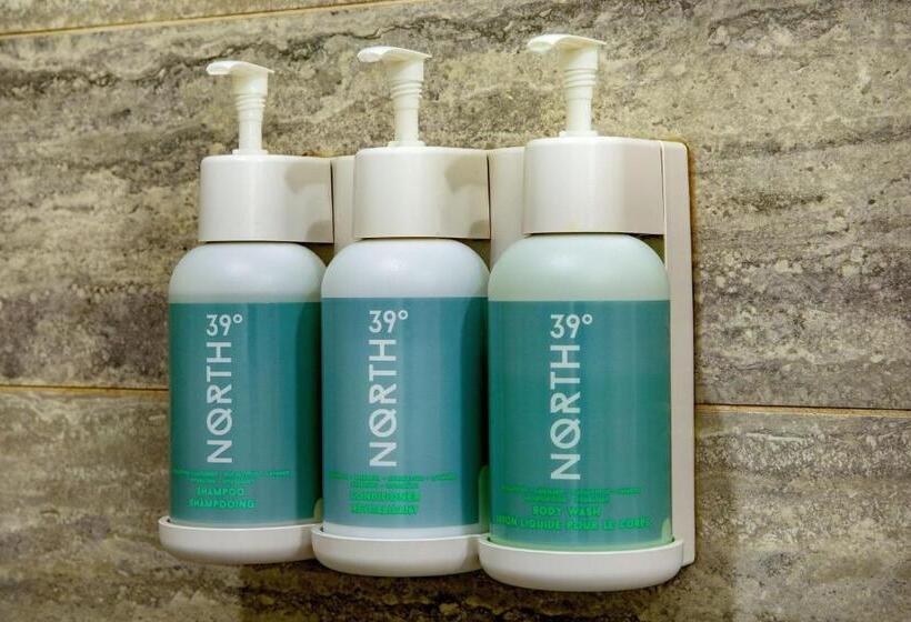 جناح سرير كينج, Courtyard By Marriott Boston Downtown