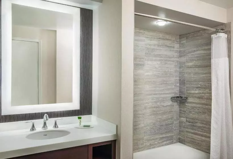 اتاق استاندارد با چشمانداز شهر, Courtyard By Marriott Boston Downtown