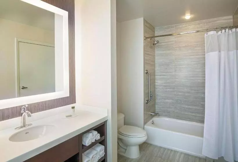 اتاق استاندارد با تخت بزرگ برای معلولان, Courtyard By Marriott Boston Downtown