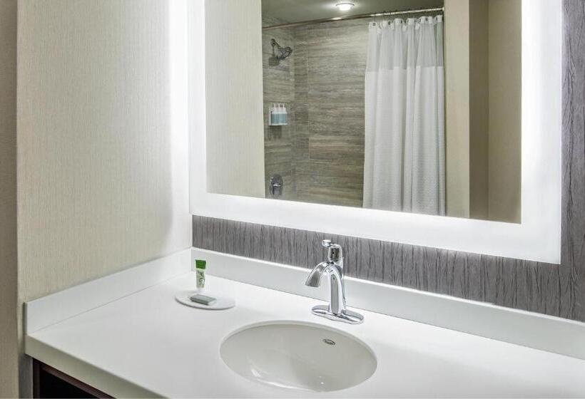 장애인을 위한 킹사이즈 침대 스탠다드 룸, Courtyard By Marriott Boston Downtown