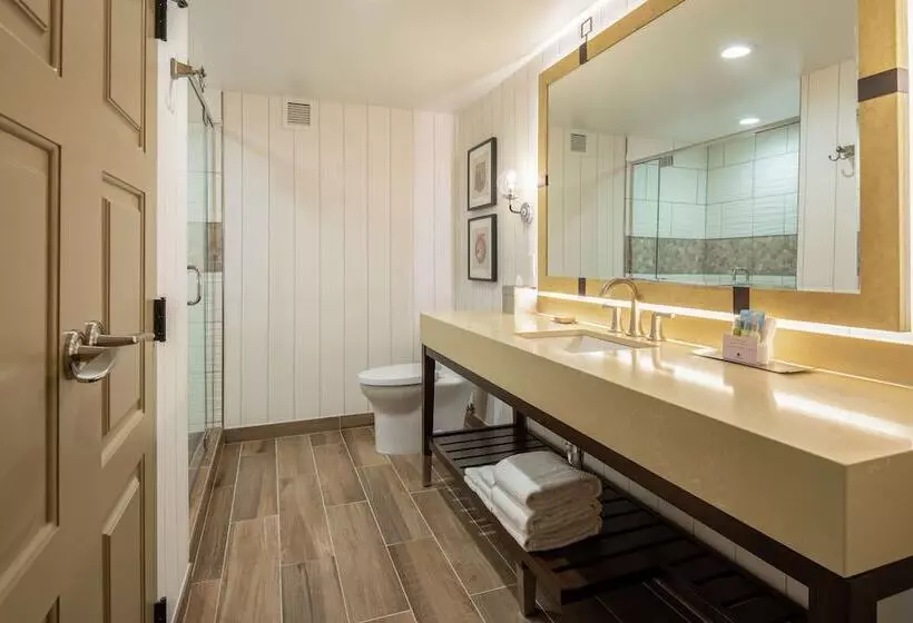 سوییت جونیور, Doubletree By Hilton Hotel Missoula   Edgewater