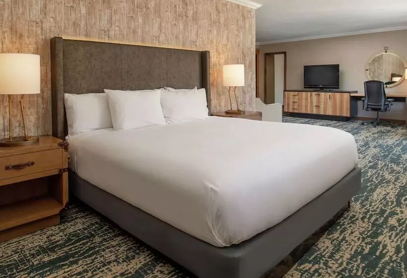 سوییت جونیور, Doubletree By Hilton Hotel Missoula   Edgewater