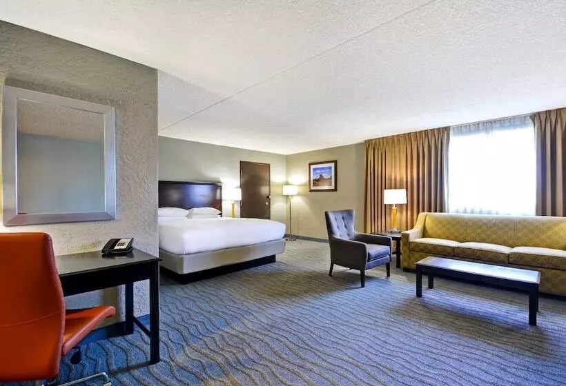 ジュニアスイート, Doubletree By Hilton Phoenix North