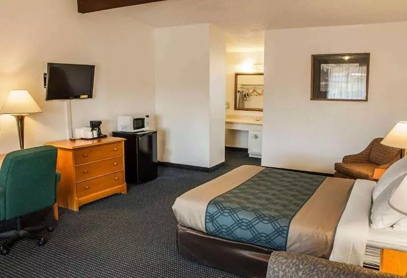 اتاق استاندارد با تخت بزرگ, Econo Lodge Inn & Suites