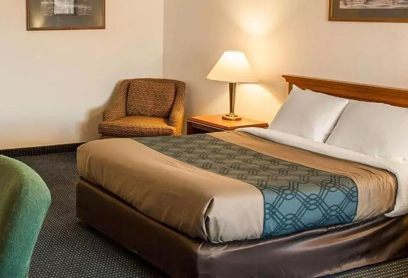 اتاق استاندارد با تخت بزرگ, Econo Lodge Inn & Suites
