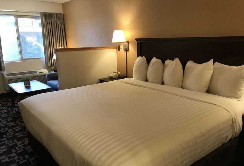 جناح, Morningglory Inn & Suites