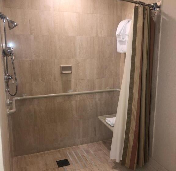 غرفة ديلوكس لذوى الاحتياجات الخاصة, Omni William Penn