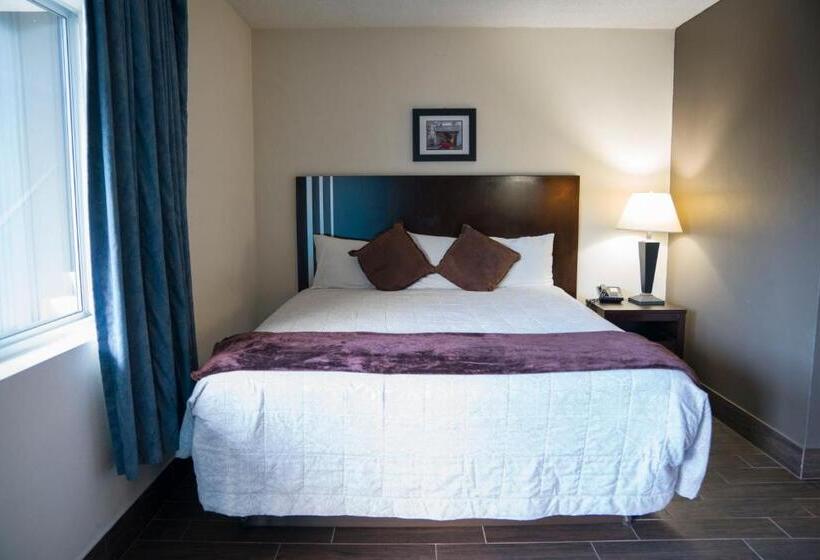 غرفة قياسية لذوى الاحتياجات الخاصة, Orange Tree Inn