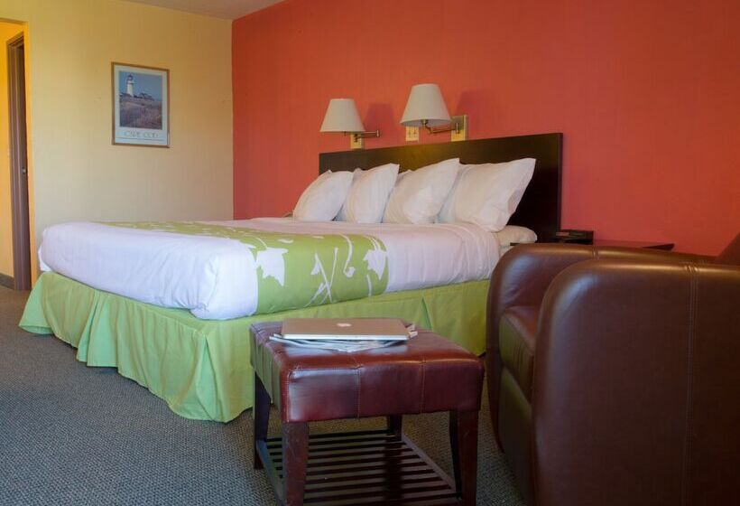 غرفة قياسية, The Tidewater Inn   Cape Cod