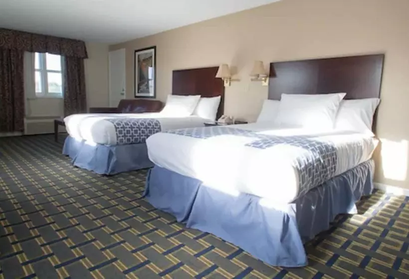 スイート（家族用）, The Tidewater Inn   Cape Cod