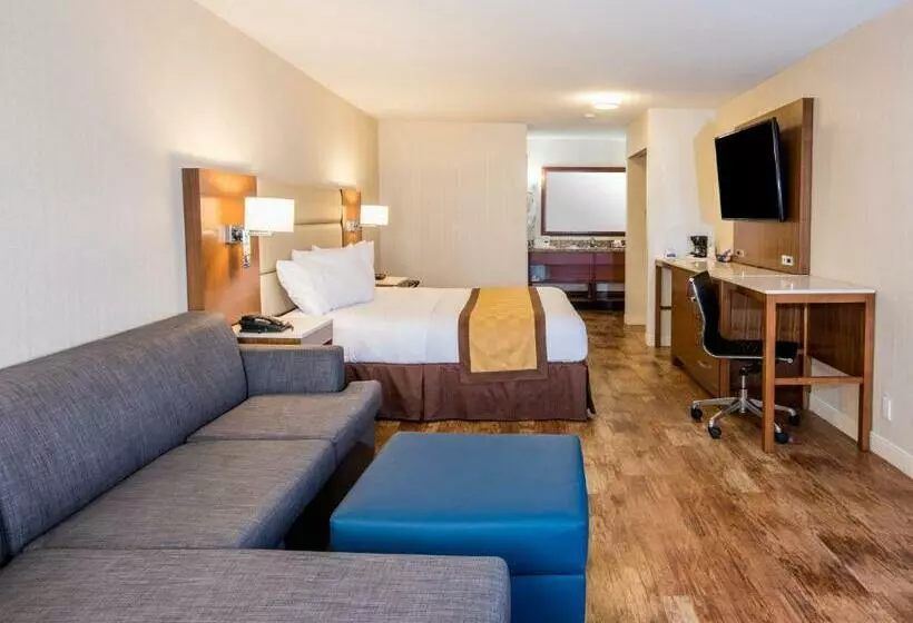 اتاق استاندارد با تخت بزرگ, Travelodge By Wyndham Culver City
