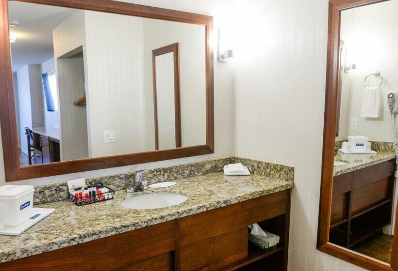 غرفة قياسية سرير كينج, Travelodge By Wyndham Culver City