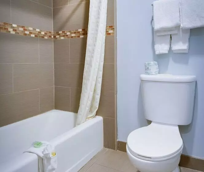 اتاق استاندارد با 2 تخت دوبل, Vagabond Inn Sunnyvale