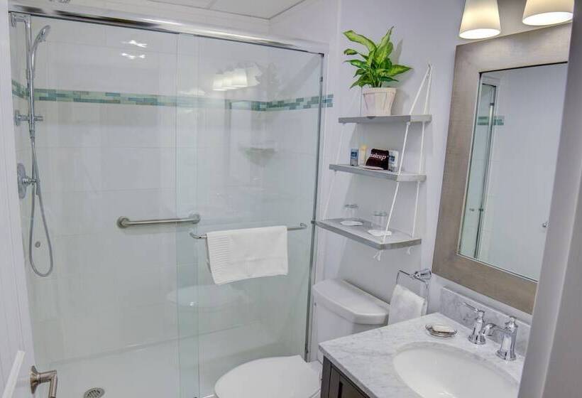 Номер Стандартный Кровать Куин, The Nonantum Resort