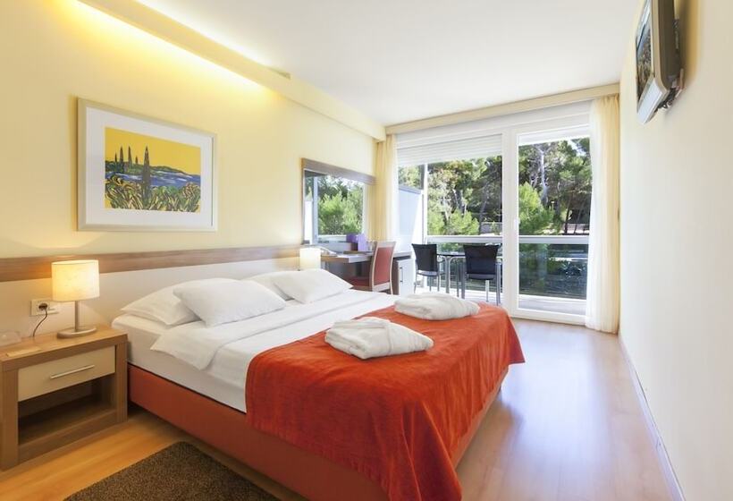 스탠다드 룸 공원 전망, Aurora