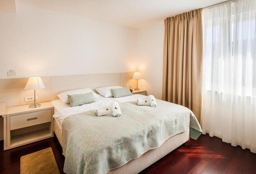 スタンダードルーム, Borovnik