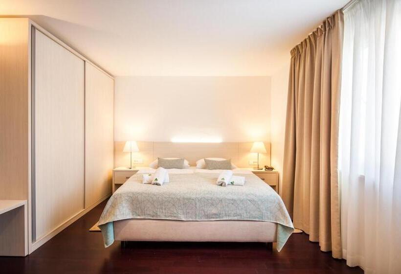 スタンダードルーム, Borovnik